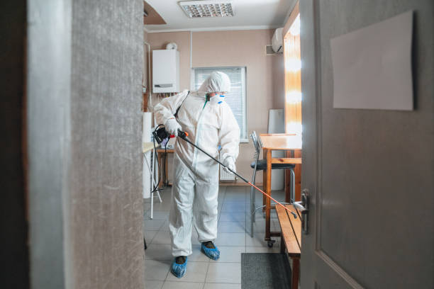 Best Mold Removal for HVAC Installations  in Ocean Acres, NJ