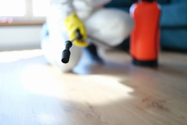 Best Emergency Mold Remediation  in Ocean Acres, NJ